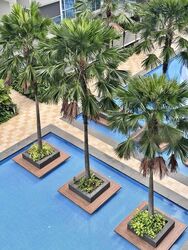 A Treasure Trove (D19), Condominium #482609351